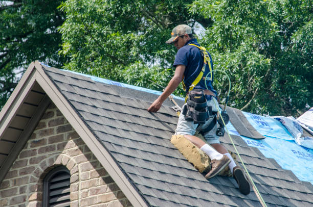 Professional Roofing Contractor in Westwood Shores, TX